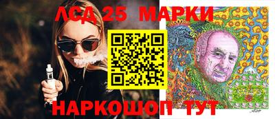 spice Гатчина
