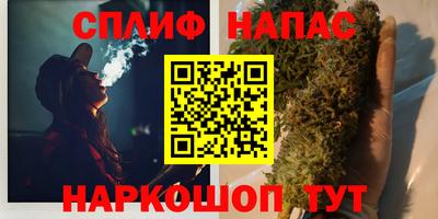 ешки Гай