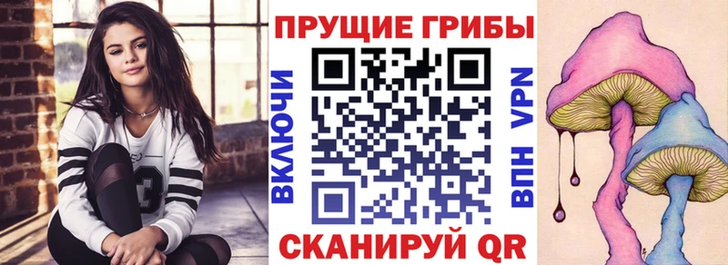 Галлюциногенные грибы ЛСД  где купить наркотик  Канаш 