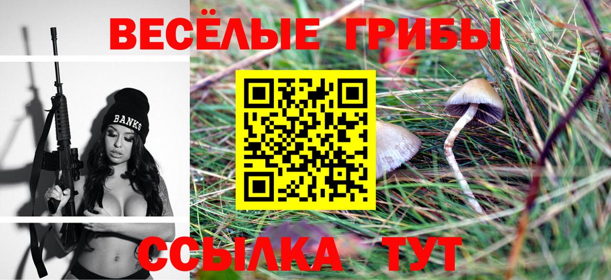 Псилоцибиновые грибы Psilocybe  Канаш  Псилоцибиновые грибы Psilocybine cubensis 