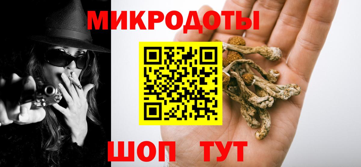 цены наркотик  Вход с VPN  Канаш  Галлюциногенные грибы MAGIC MUSHROOMS 